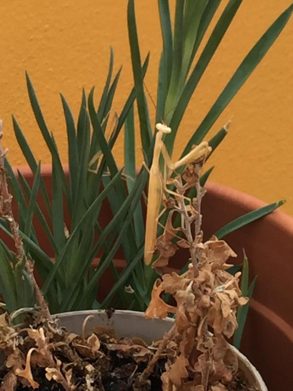 Willa Abetarda Cc São Marcos da Ataboeira Zewnętrze zdjęcie